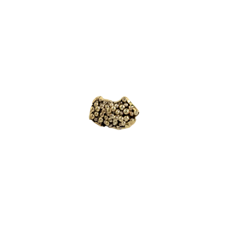 Caviar OC2023