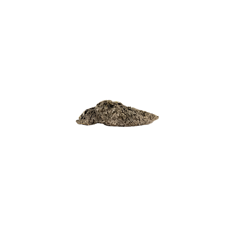 Fungi EA1031