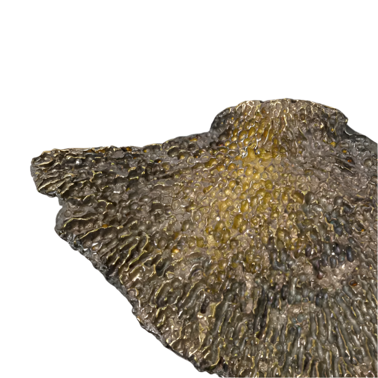 Fungi EA1032