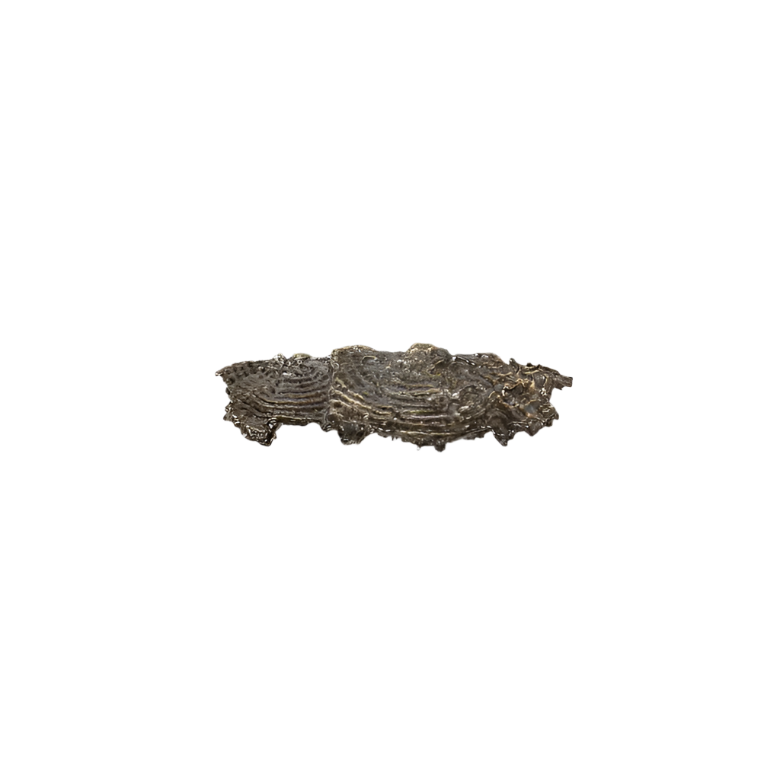Fungi EA1033