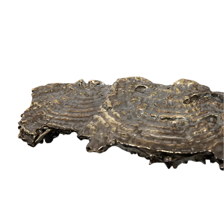 Fungi EA1033