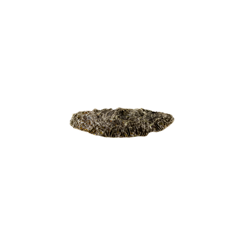 Fungi EA1034