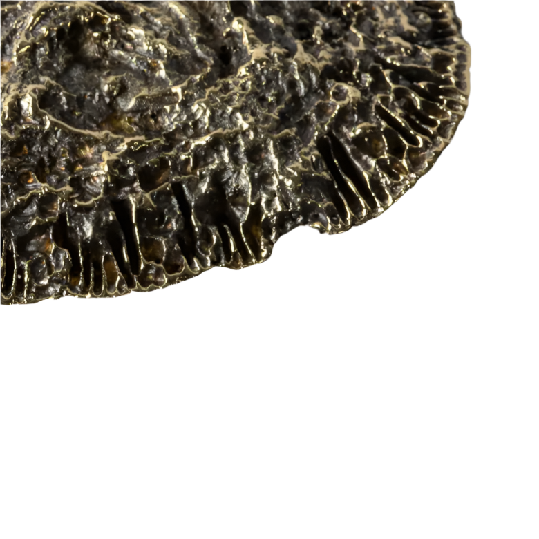 Fungi EA1034