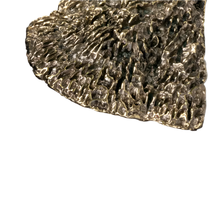 Fungi EA1031