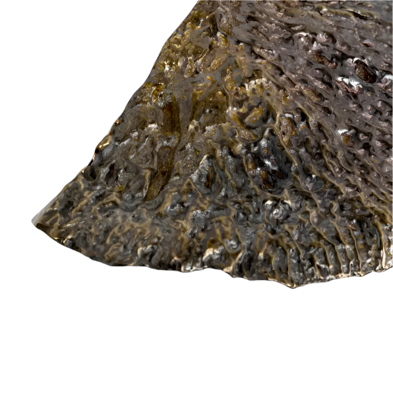 Fungi EA1035