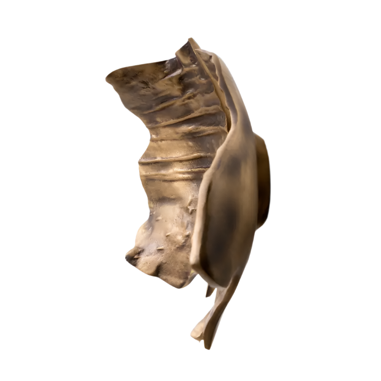 Leaf EA1053