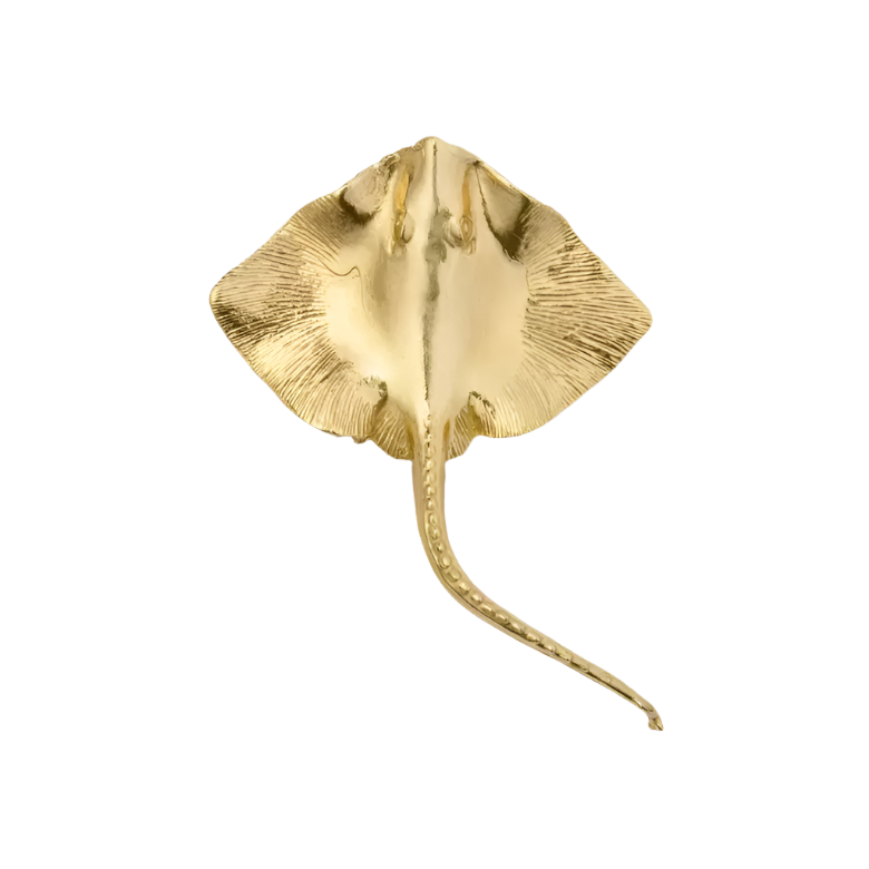 Manta OC2061