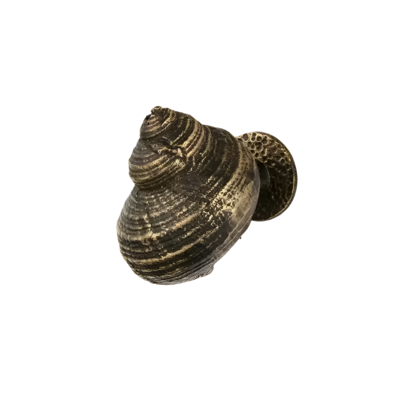 Oceana OC2055