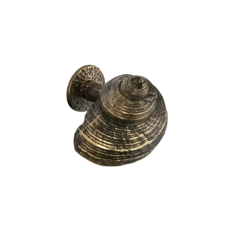 Oceana OC2055