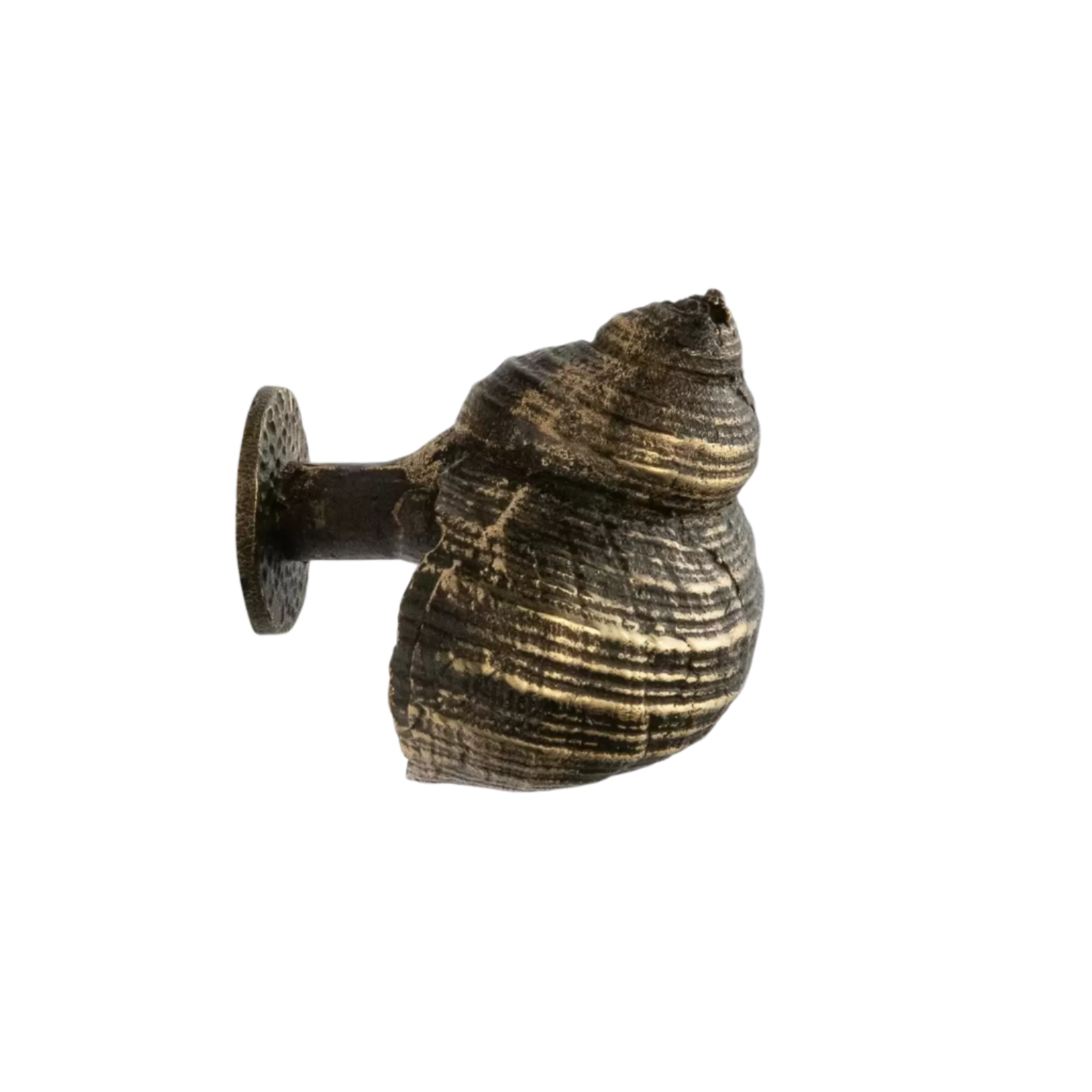 Oceana OC2055