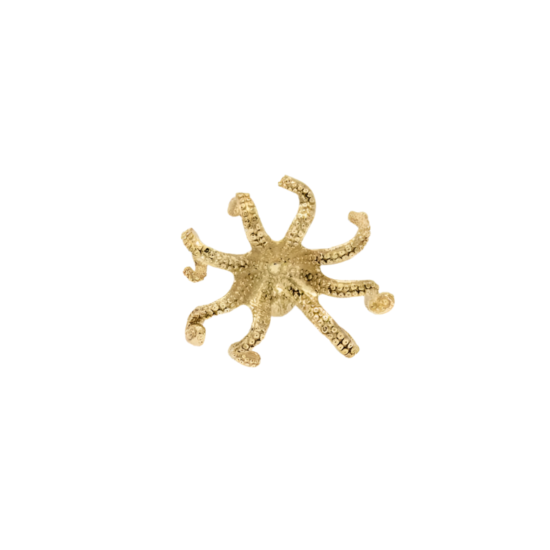 Octo OC2008