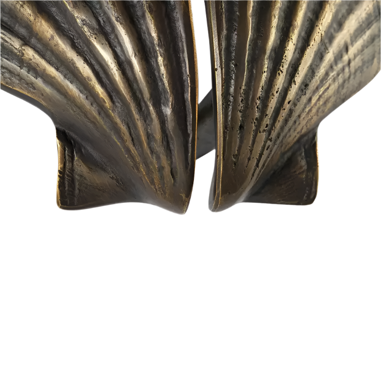 Seashell OC2039
