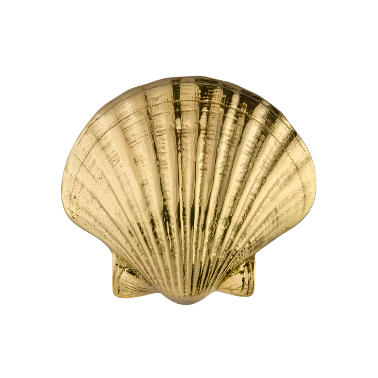 Seashell OC2040