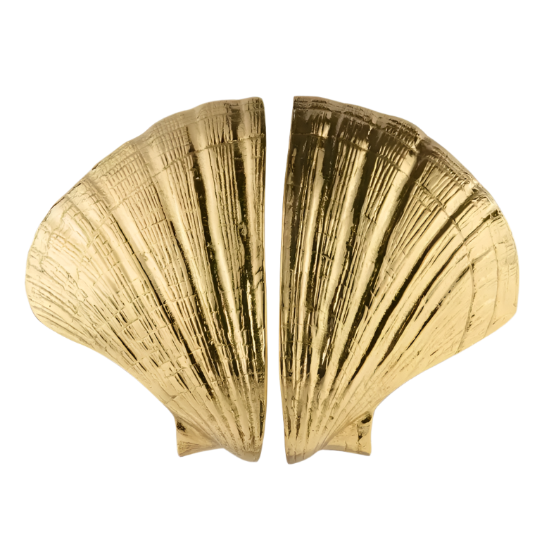 Seashell OC2041