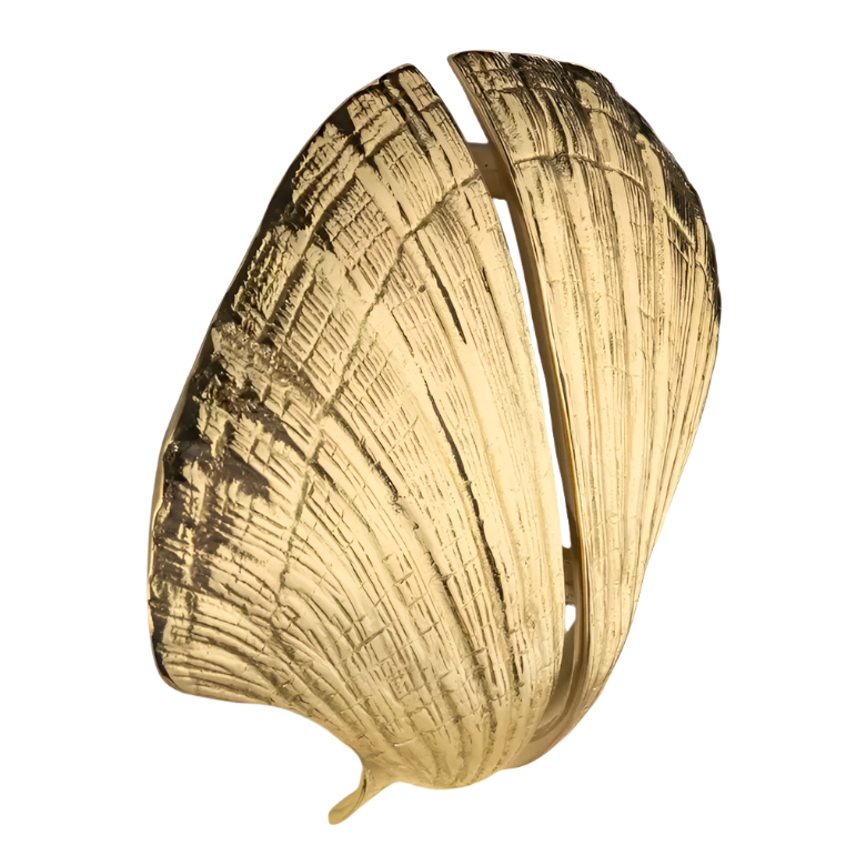 Seashell OC2041