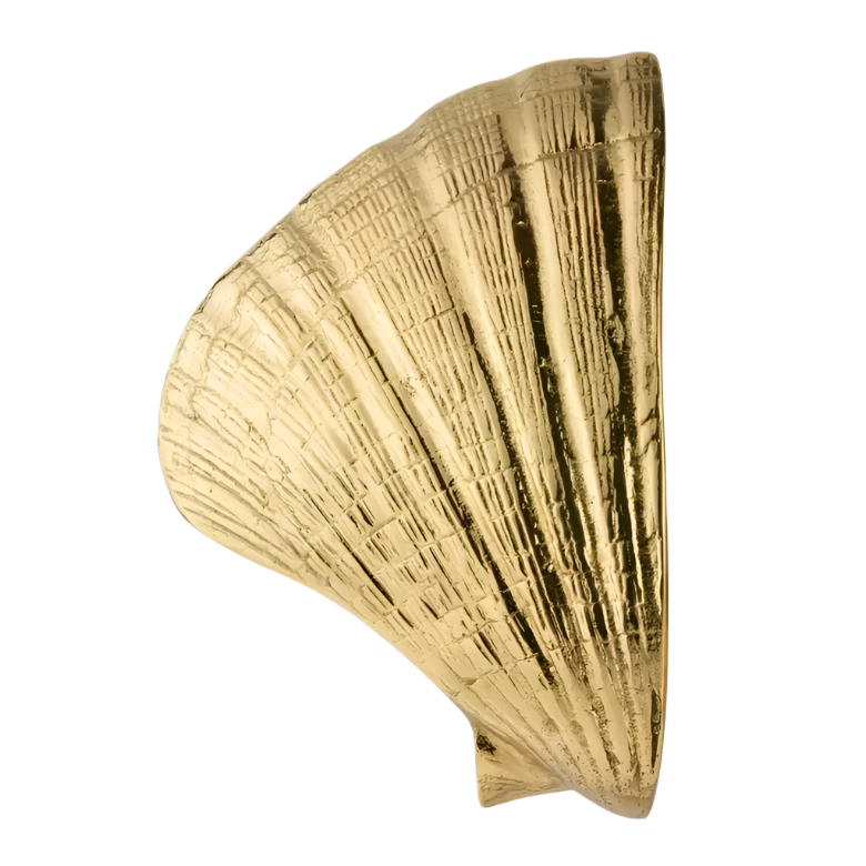 Seashell OC2041