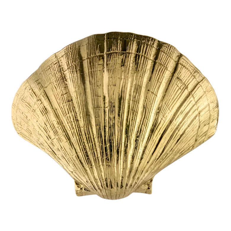 Seashell OC2042