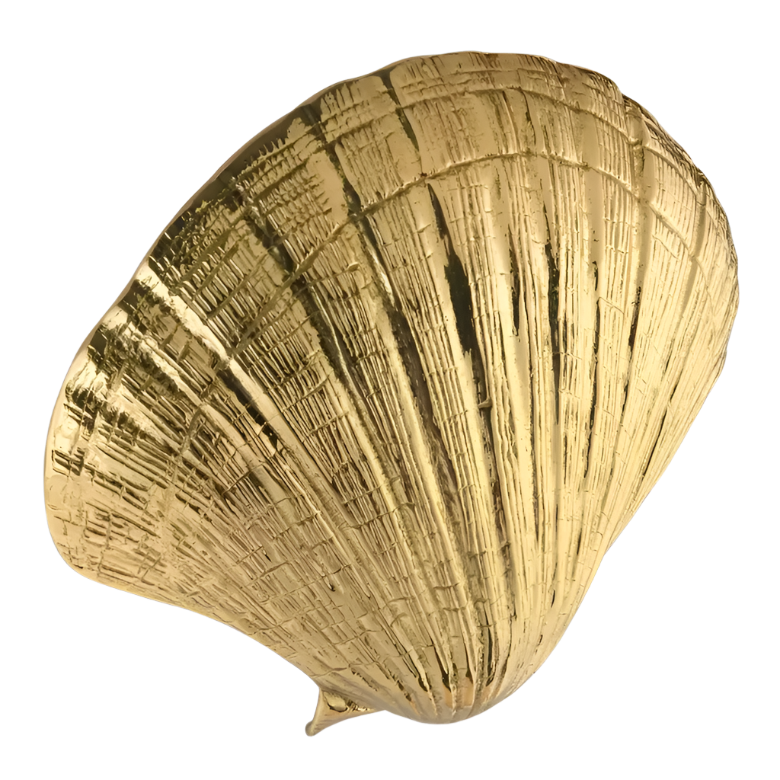 Seashell OC2042