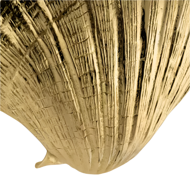Seashell OC2042