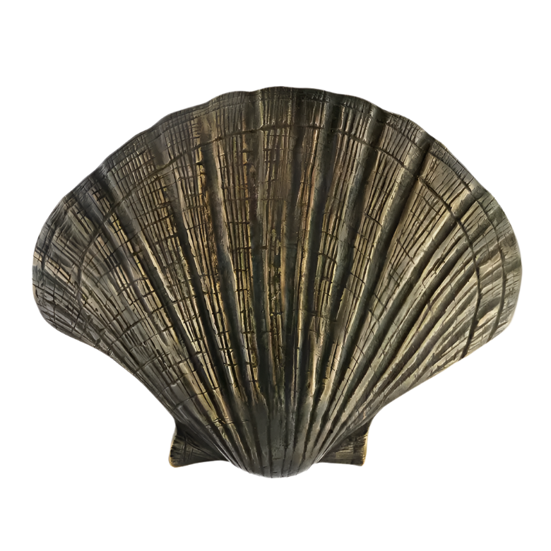 Seashell OC2042
