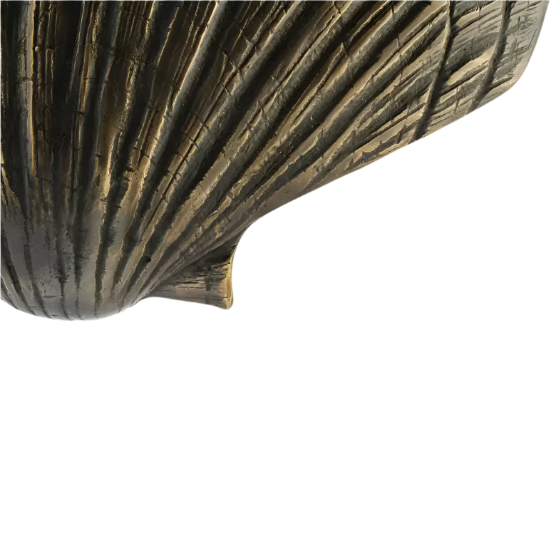 Seashell OC2042